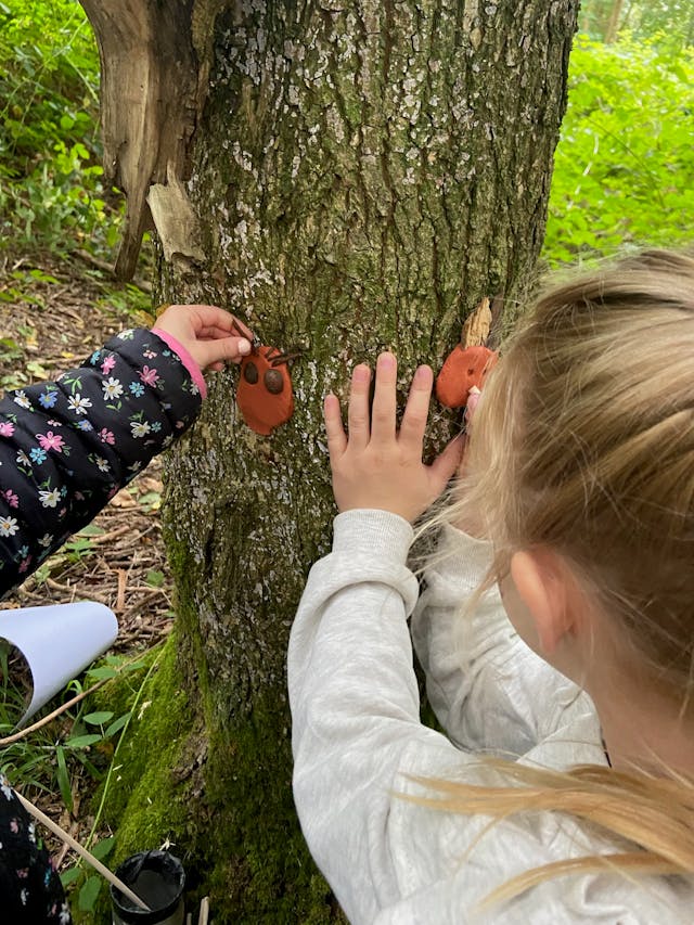 Acorn Play 