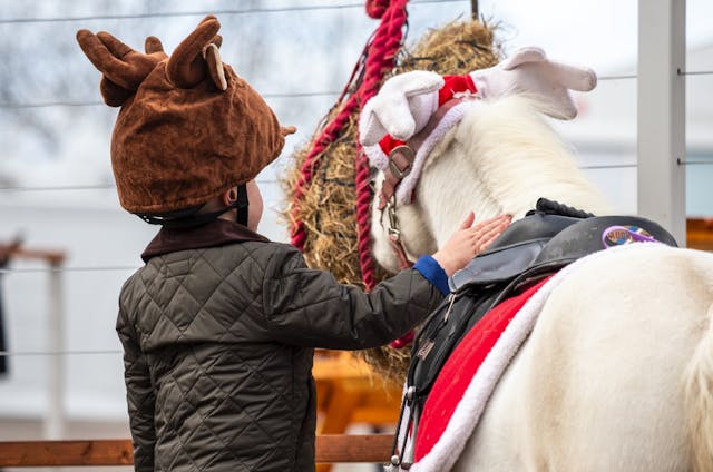 Family Fun Zone at Cheltenham Races