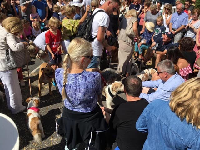 Suffolks Sunday Market