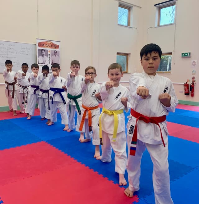 Martial Arts Classes Springbank