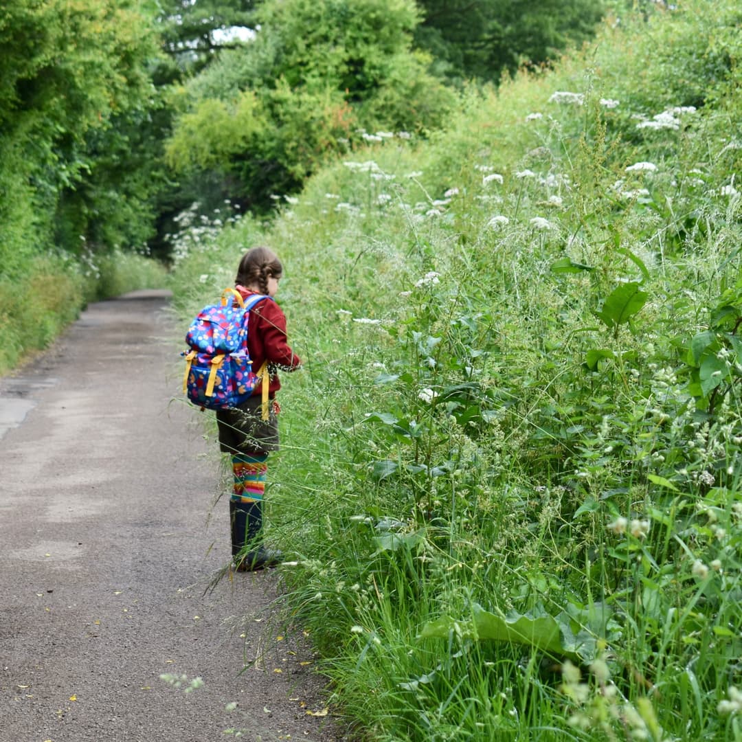 Beckford Nature Reserve - image 2
